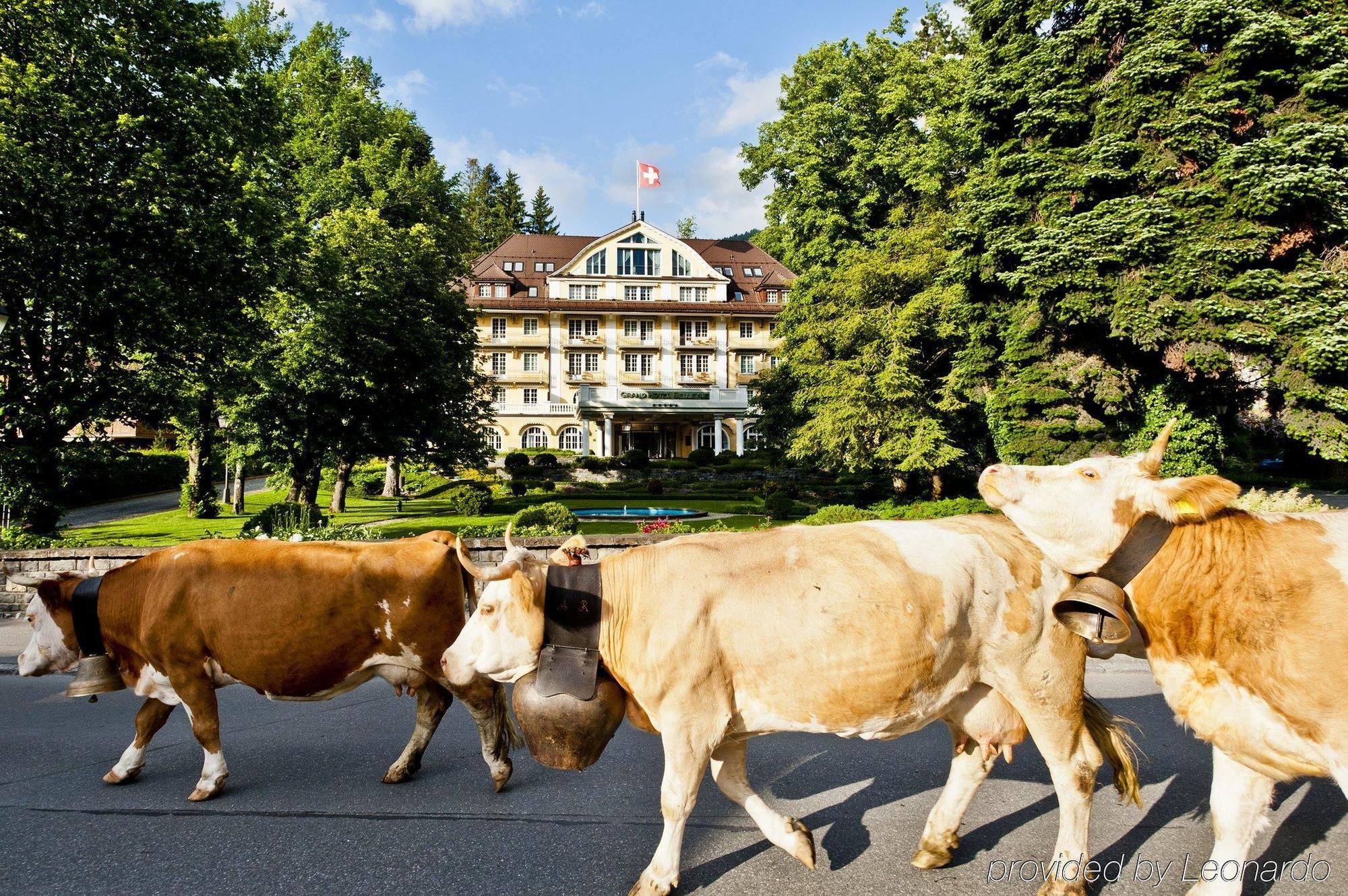 Le Grand Bellevue Hotel Gstaad Buitenkant foto